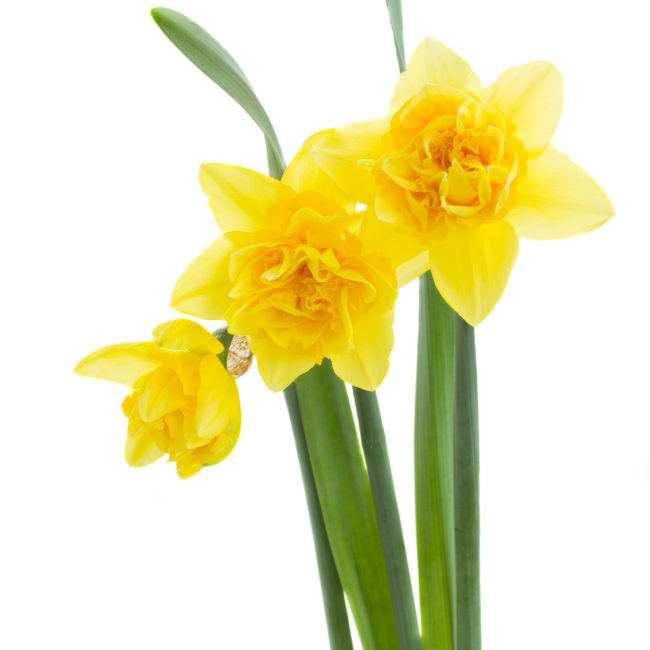 Blog Featured Image