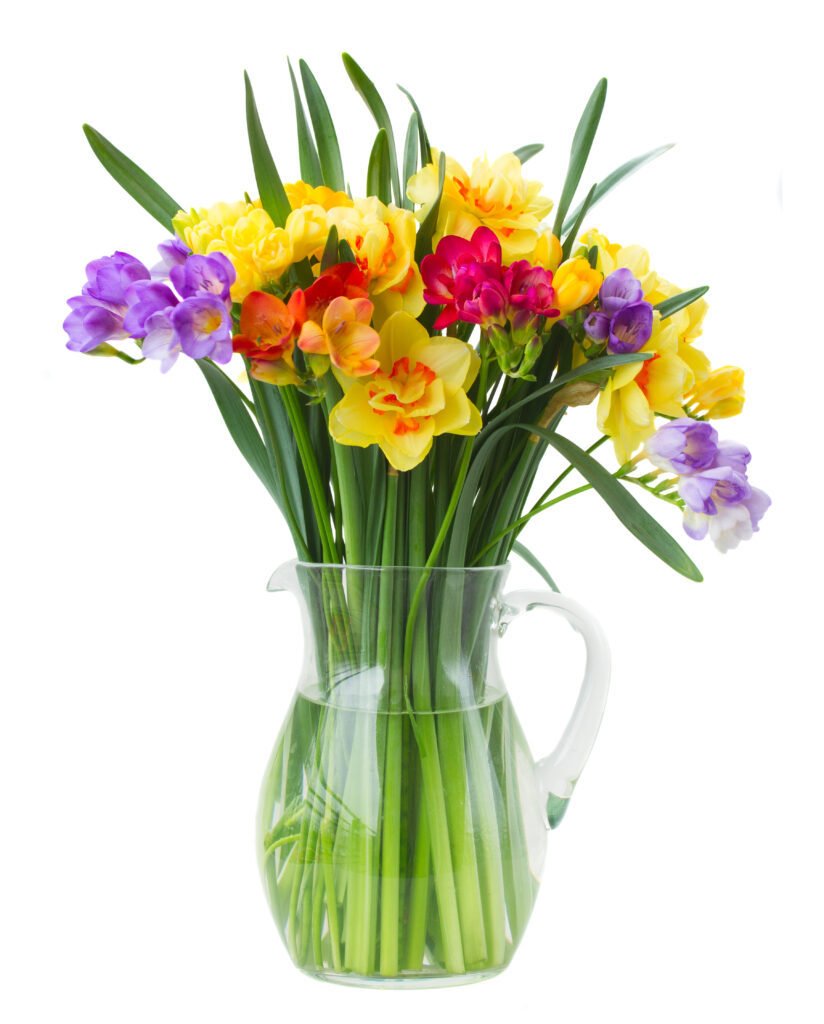 Ethylene sensitive Cut flowers Floral Gossip