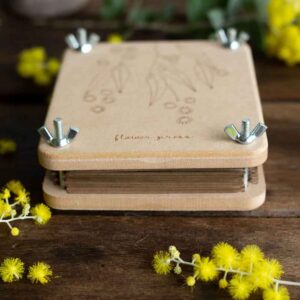 Flower Press Wattle Small - buy gift now online at Floral Gossip Sydney