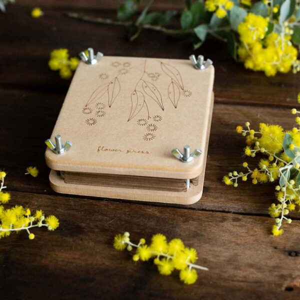 Flower Press Wattle Small - buy now online at Floral Gossip Clovelly
