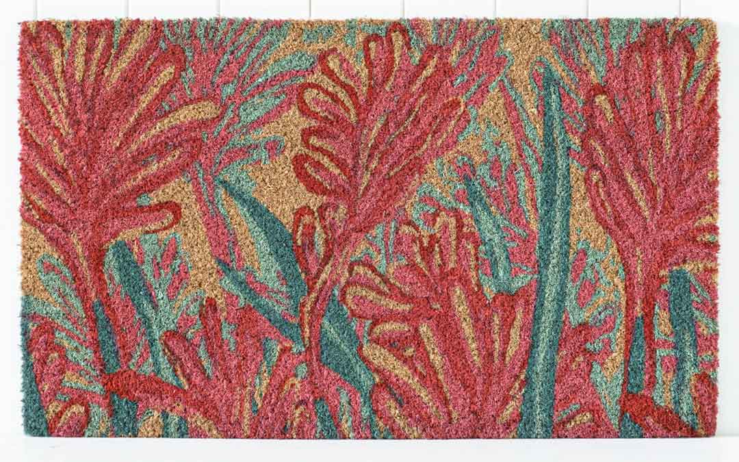 Australian-Kangaroo-Paw-Red